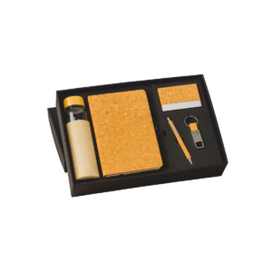 Hamply PX-545 – 5-in-1 Diary, Pen, Keychain, Card Holder & Steel Bottle Set