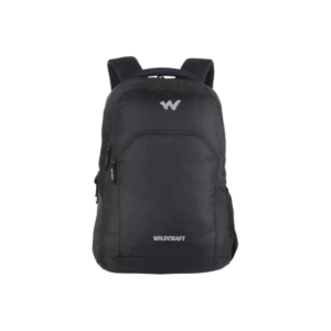 Ace 2 Laptop Backpack